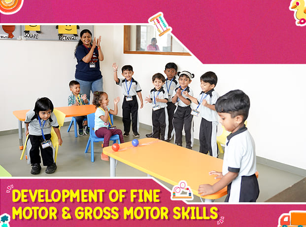 Fine & Gross Motor Skills Development